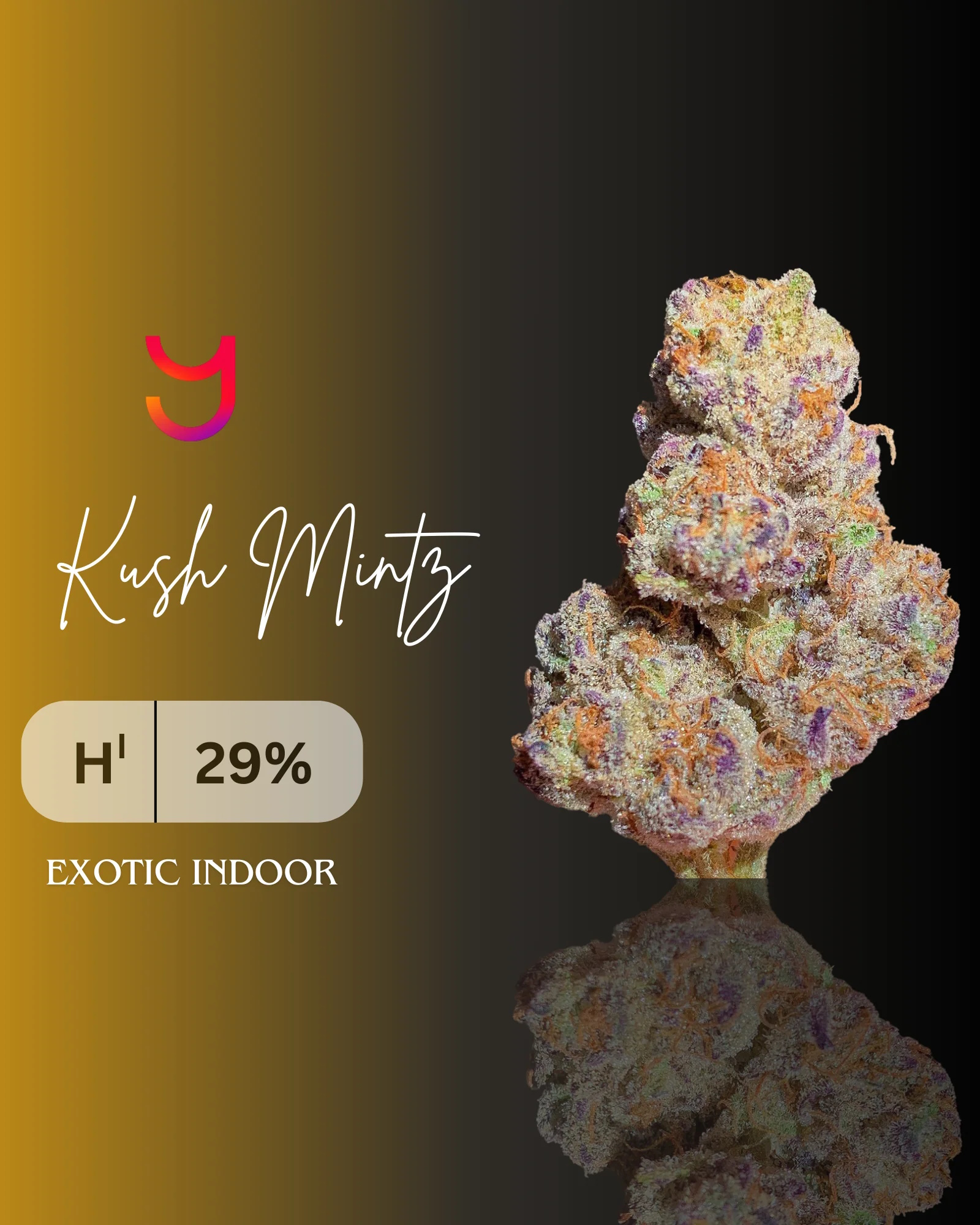 YAGA Farms Exotic Collection Kush Mintz
