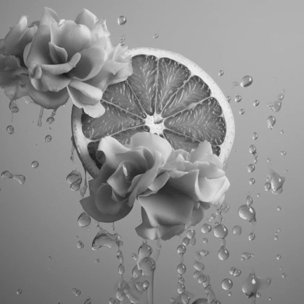 Citrus Rose Un-Infused
